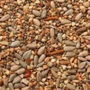 Robin's Mix Bird Seed