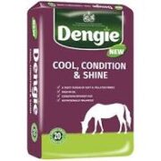 Dengie Cool, Condition & Shine