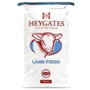 Heygates Lamb Feed