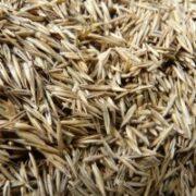 Acre Pack Grass Seed