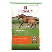 Heygates Stud Nuts